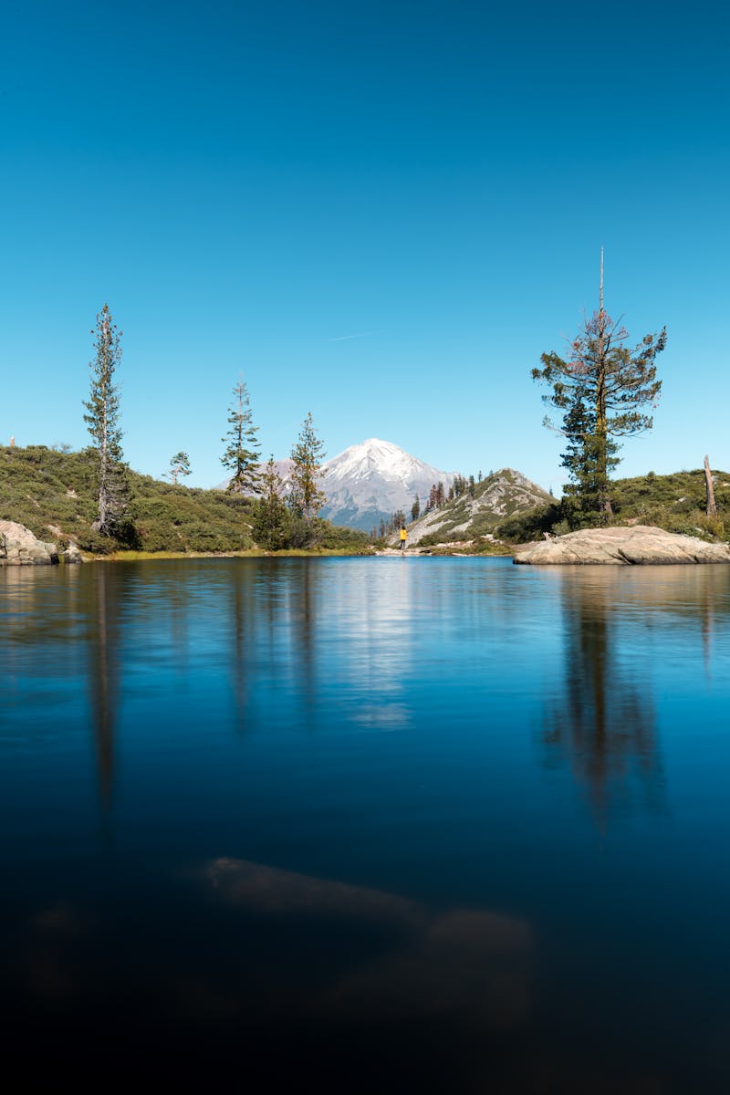 A tranquil scene of Mount Shasta from a blue lake surrounded by trees, showcasing nature's beauty.
