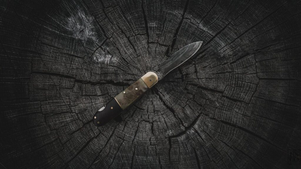 A sharp pocket knife displayed on a rugged, weathered tree stump outdoors.