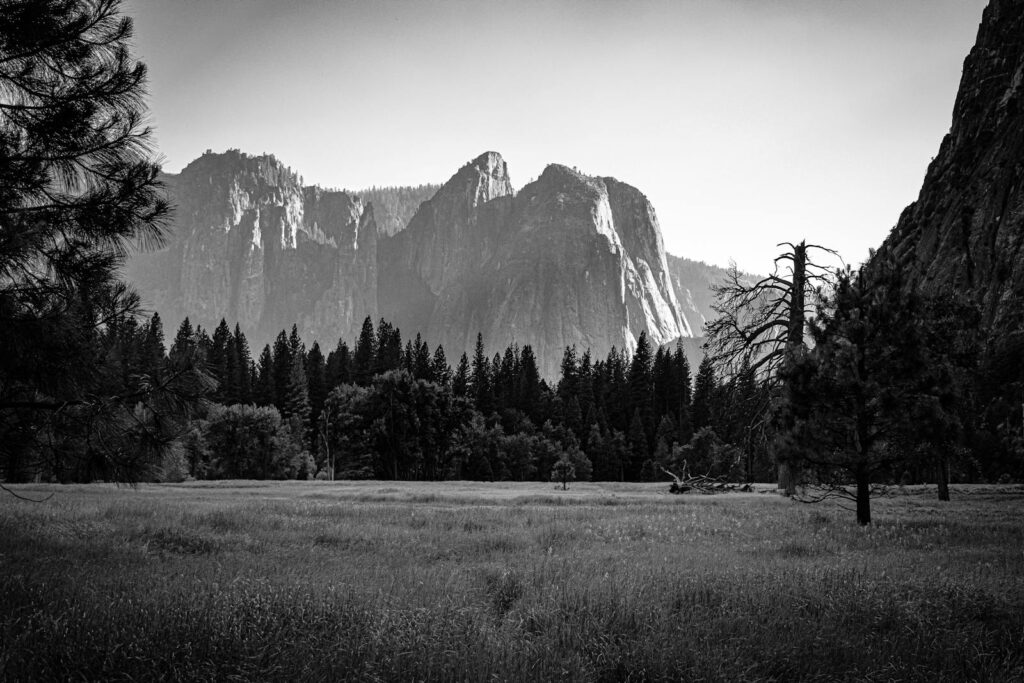 Breathtaking view of Yosemite Valley's cliffs and pine forest in black and white.
