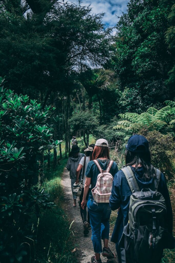 Women hiking along a scenic forest trail, enjoying nature and exploration.